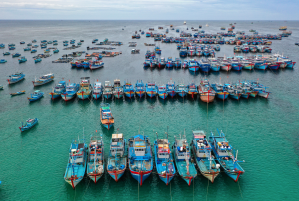  đảo Phú Qúy - Nguyễn Văn Thương