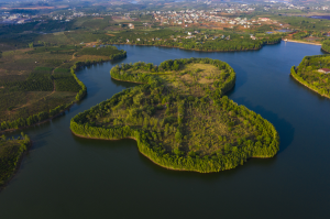 Mây trời