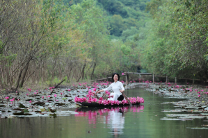 Suối Yến Chùa Hương